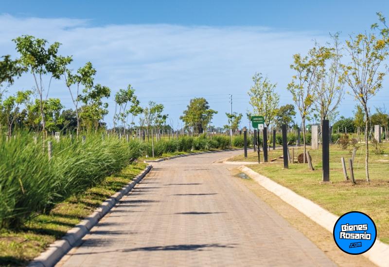 Terrenos - General Lagos - Venta