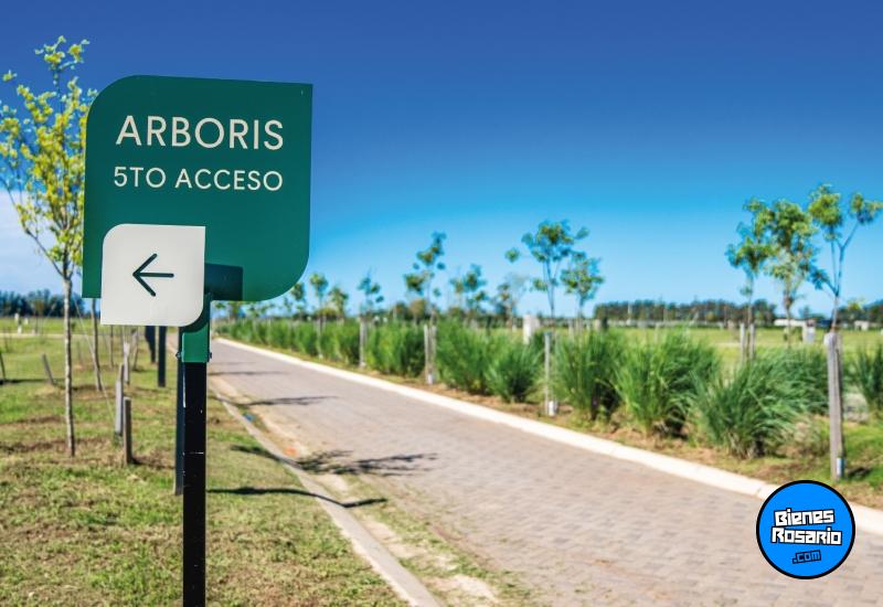 Terrenos - General Lagos - Venta