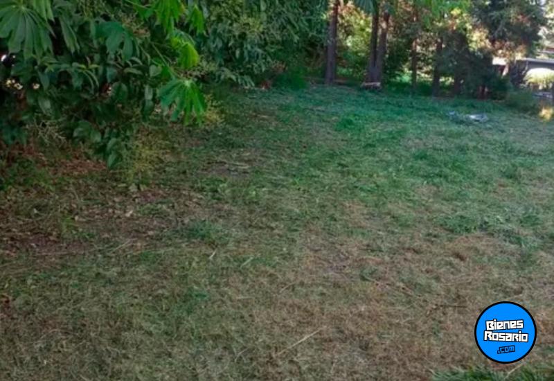 Terrenos - Otra Ciudad - Venta