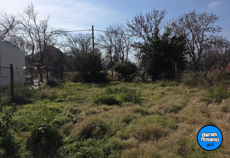 Terrenos - Melincue - Venta