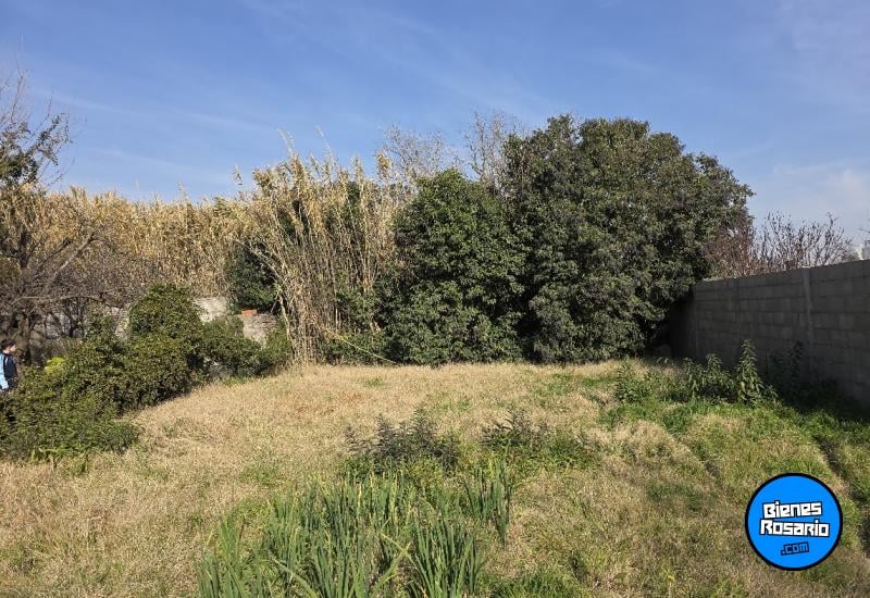Terrenos - Melincue - Venta