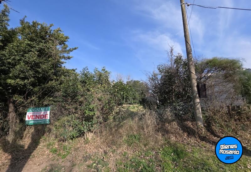 Terrenos - Melincue - Venta