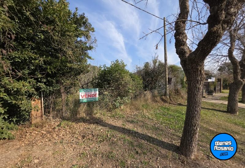 Terrenos - Melincue - Venta