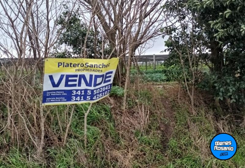 Campos - Rosario - Venta