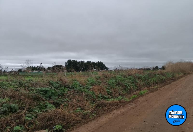 Campos - Rosario - Venta
