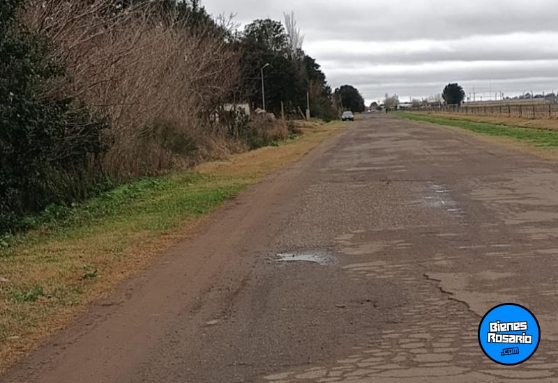 Campos - Rosario - Venta