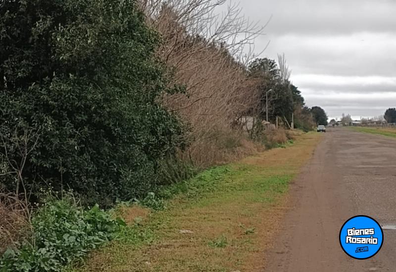 Campos - Rosario - Venta