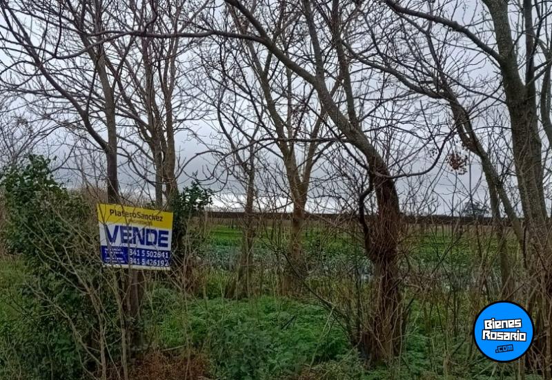 Campos - Rosario - Venta