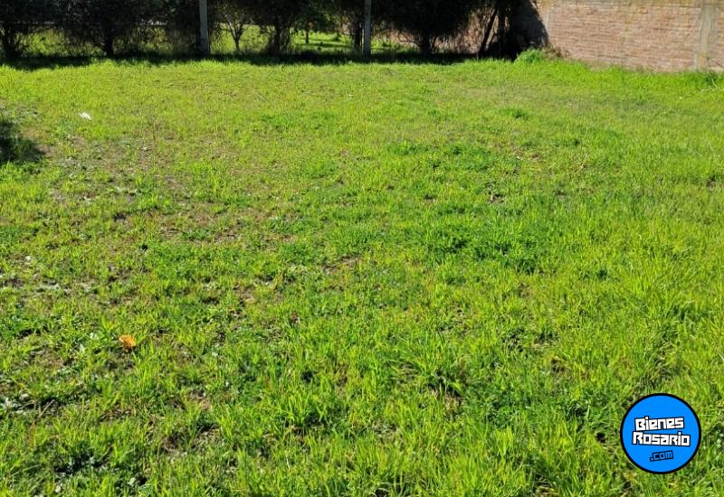 Casas - Villa Amelia - Venta