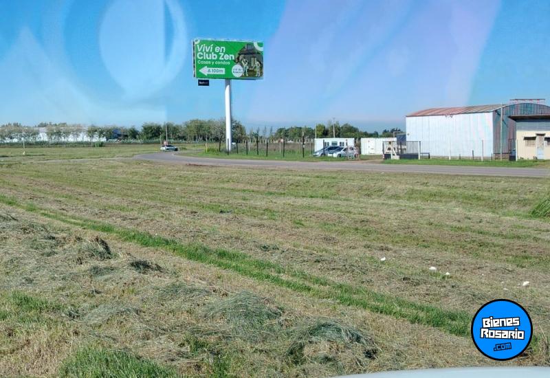 Galpones / Depósitos - Rosario - Alquiler
