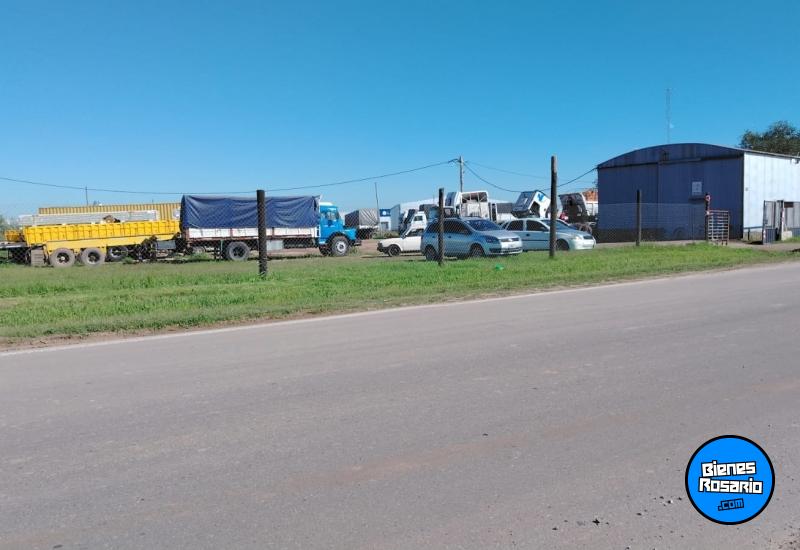 Galpones / Depósitos - Rosario - Alquiler