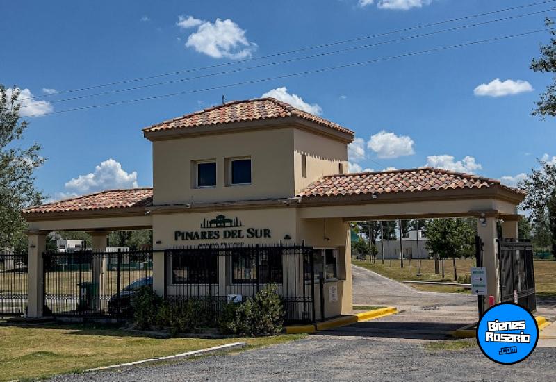 Terrenos - Piñero - Venta