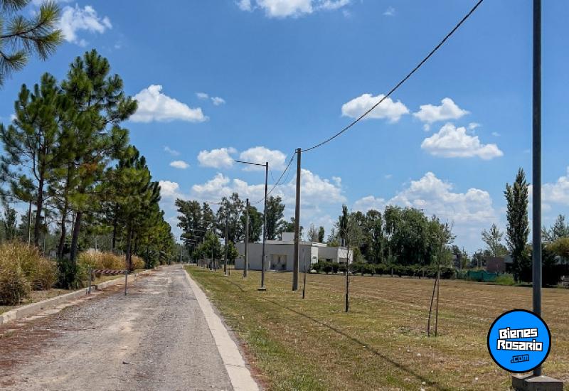Terrenos - Piñero - Venta