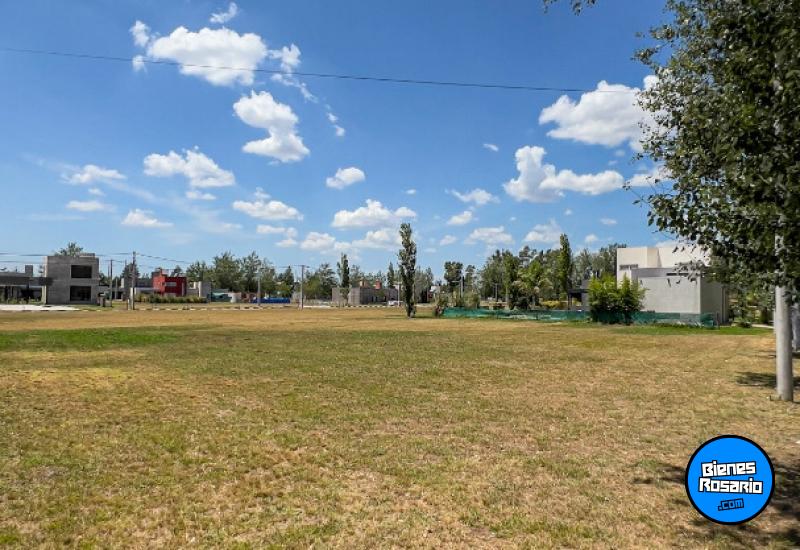 Terrenos - Piñero - Venta