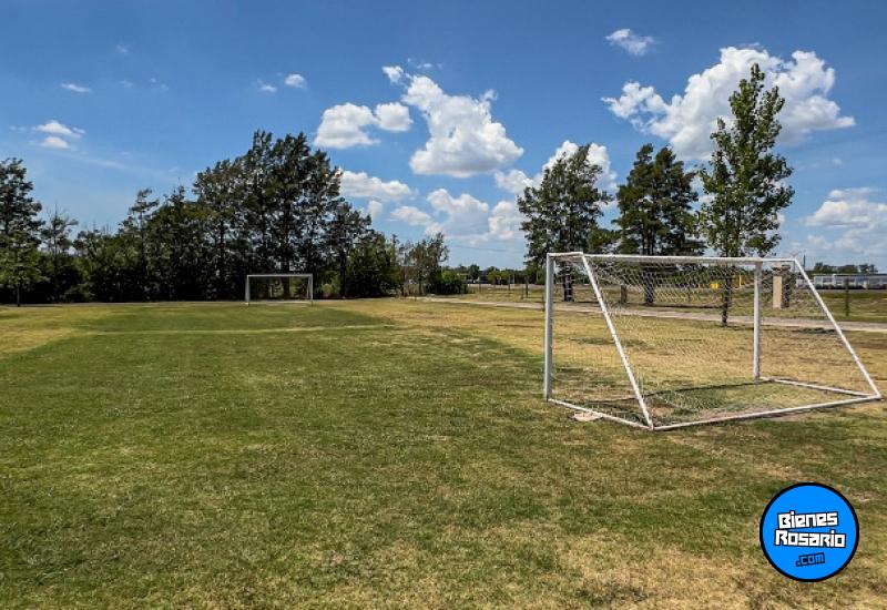 Terrenos - Piñero - Venta