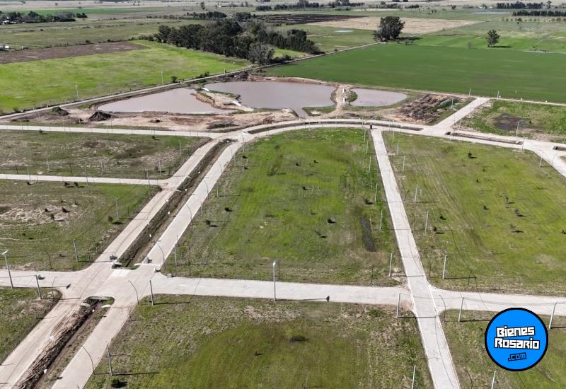 Terrenos - Villa Amelia - Venta
