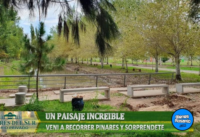 Terrenos - Pi�ero - Venta