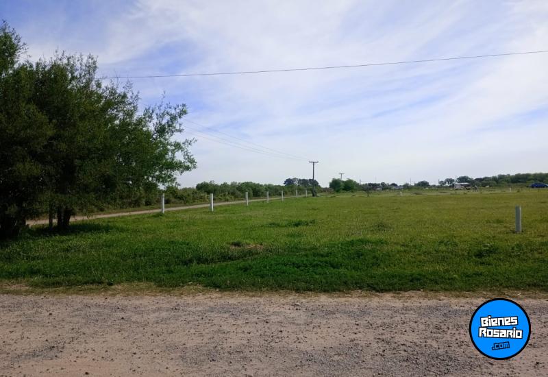 Terrenos - Venta