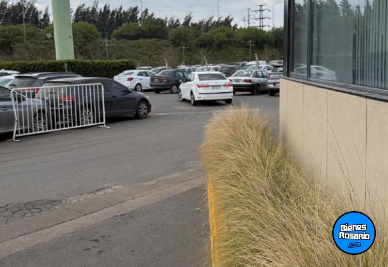Oficinas - Rosario - Alquiler
