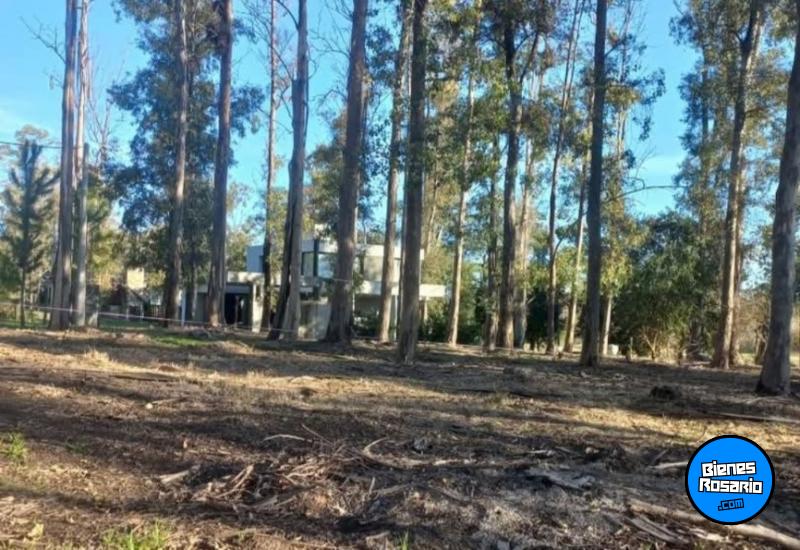 Terrenos - Oliveros - Venta
