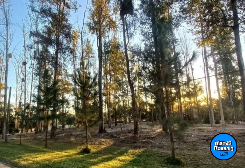 Terrenos - Oliveros - Venta