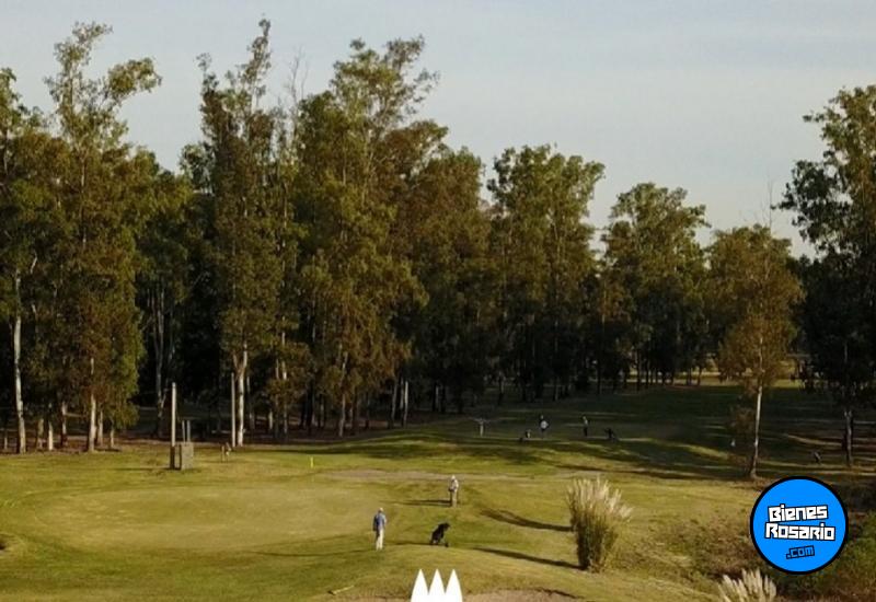 Terrenos - Oliveros - Venta