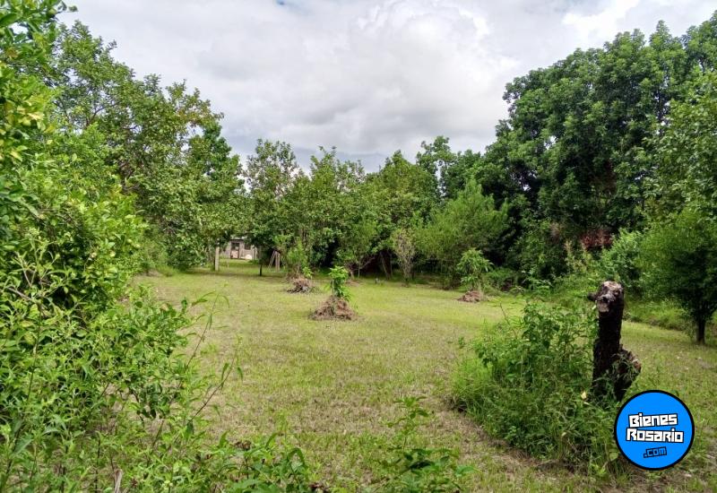 Terrenos - Otra Ciudad - Venta