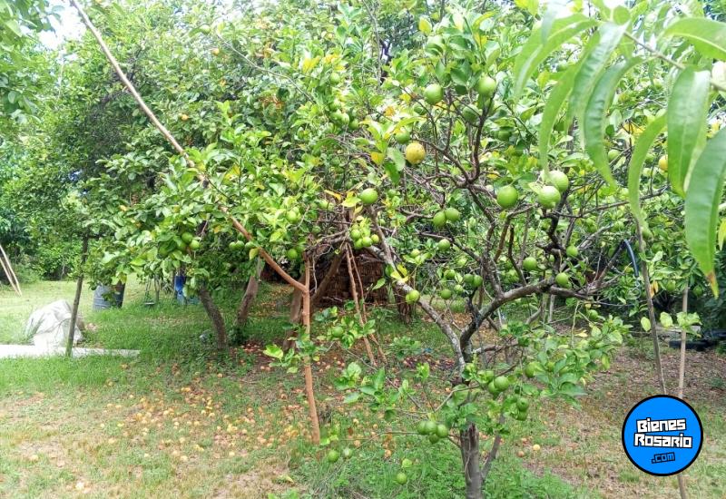 Terrenos - Otra Ciudad - Venta