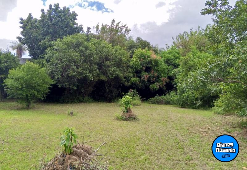 Terrenos - Otra Ciudad - Venta