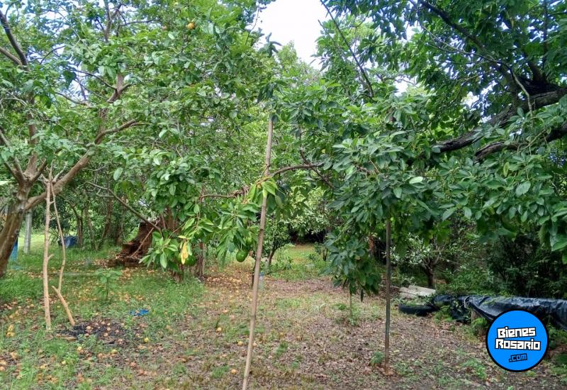 Terrenos - Otra Ciudad - Venta