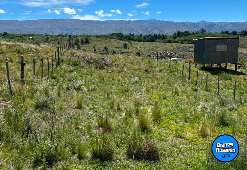 Terrenos - Yacanto De Calamuchita - Venta