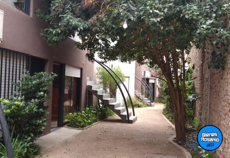 Departamentos - Rosario - Alquiler