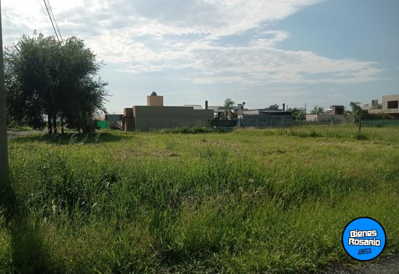 Terrenos - Funes - Venta