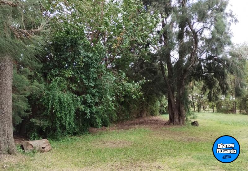 Terrenos - Funes - Venta