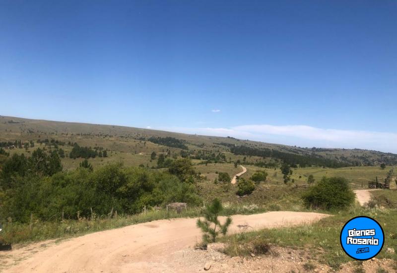 Terrenos - El Durazno - Venta