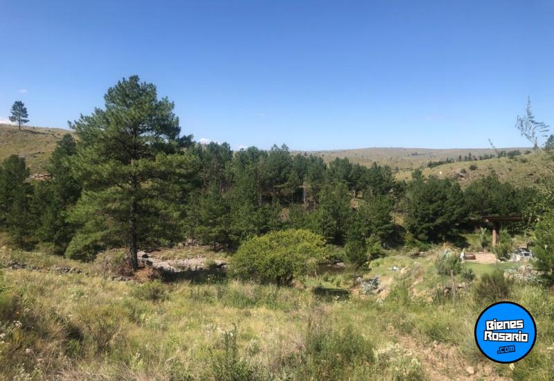 Terrenos - El Durazno - Venta