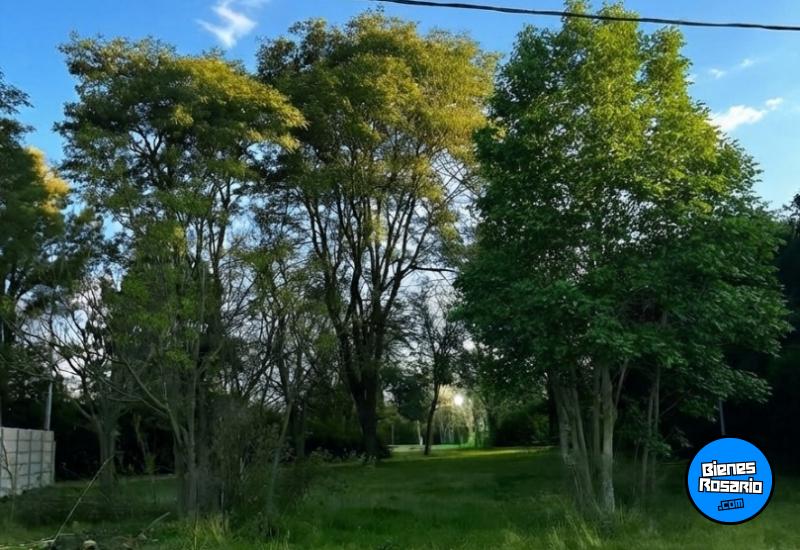 Terrenos - Funes - Venta