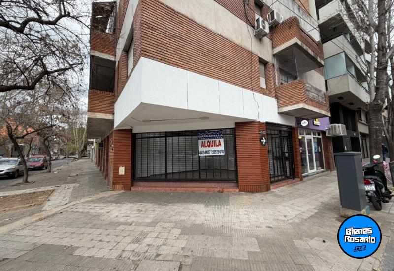 Locales - Rosario - Alquiler