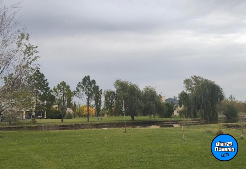 Terrenos - Alvear - Venta