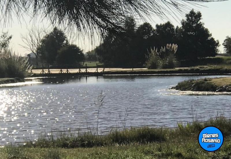 Terrenos - Alvear - Venta