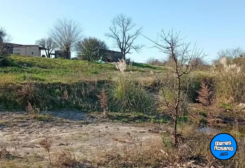 Campos - Costa Grande - Venta