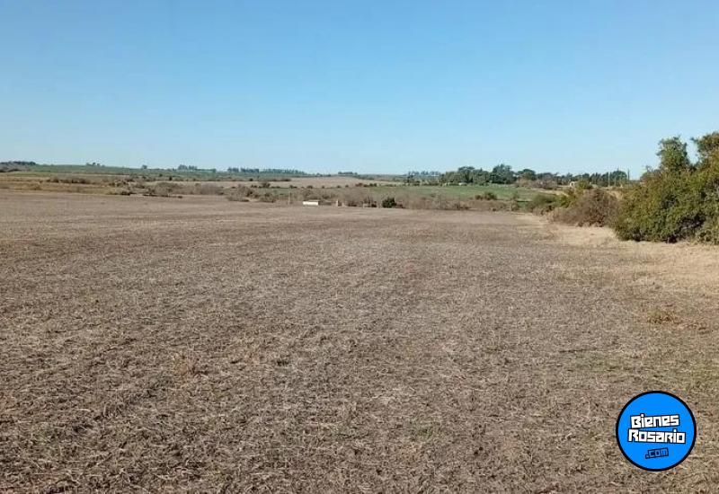 Campos - Costa Grande - Venta