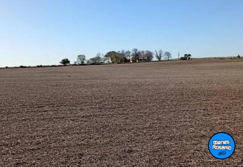Campos - Costa Grande - Venta