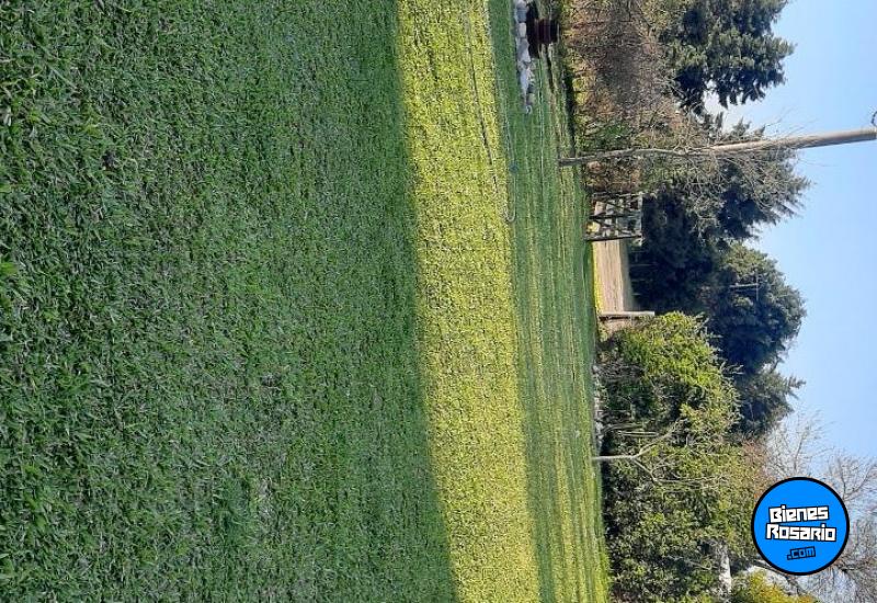 Otras propiedades - Ramallo - Venta