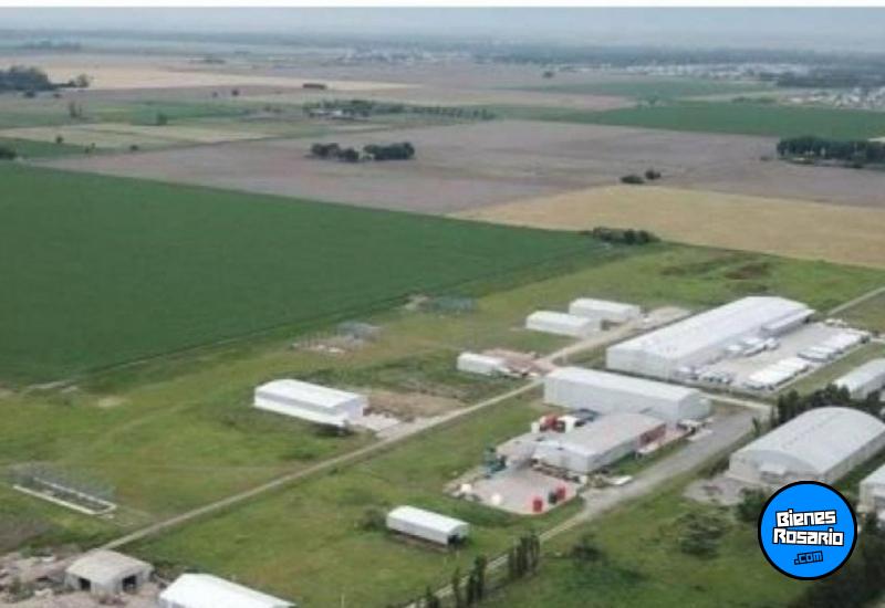 Terrenos - Roldan - Venta