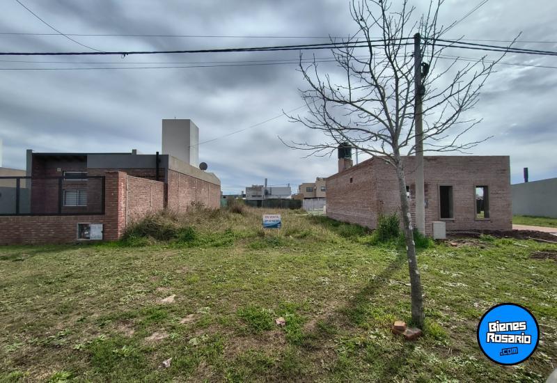 Terrenos - Alvear - Venta