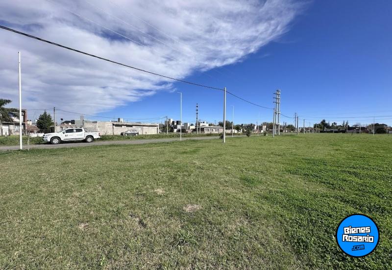 Terrenos - Ricardone - Venta