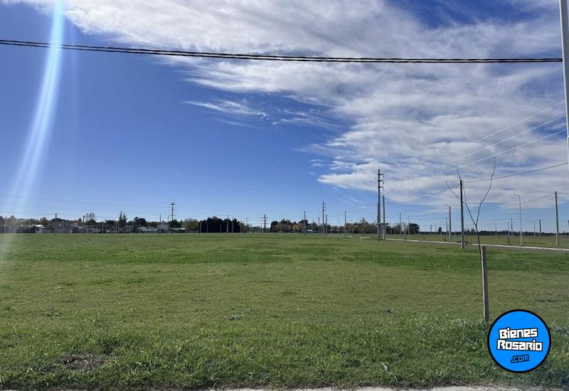 Terrenos - Ricardone - Venta
