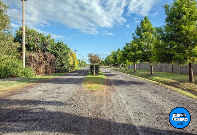 Terrenos - Ibarlucea - Venta