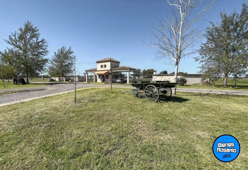 Terrenos - Pi馿ro - Venta